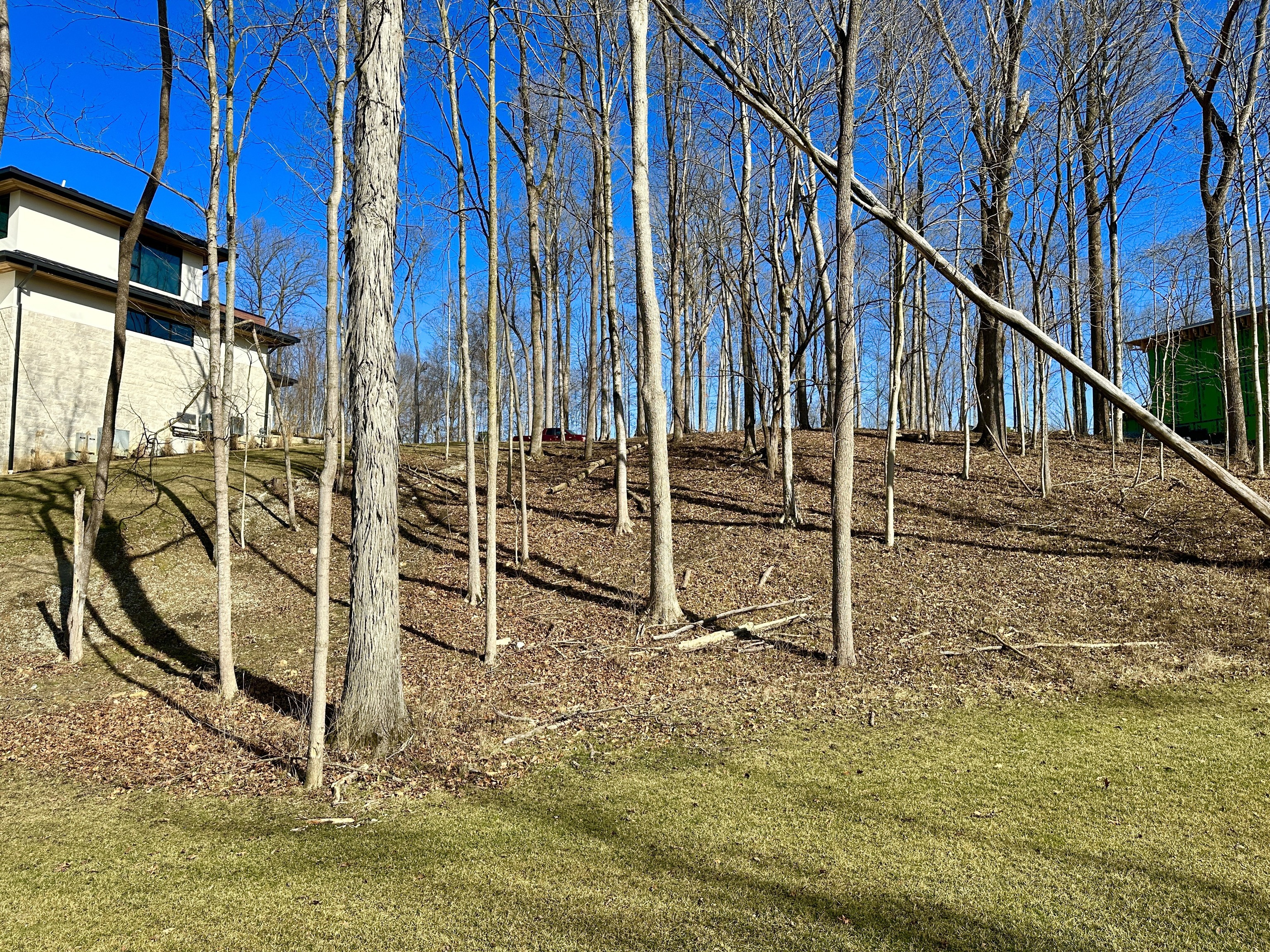 4520 Elmscott Ridge Zionsville, IN 46077 - Photo 3 of 4 Gallery Image 3