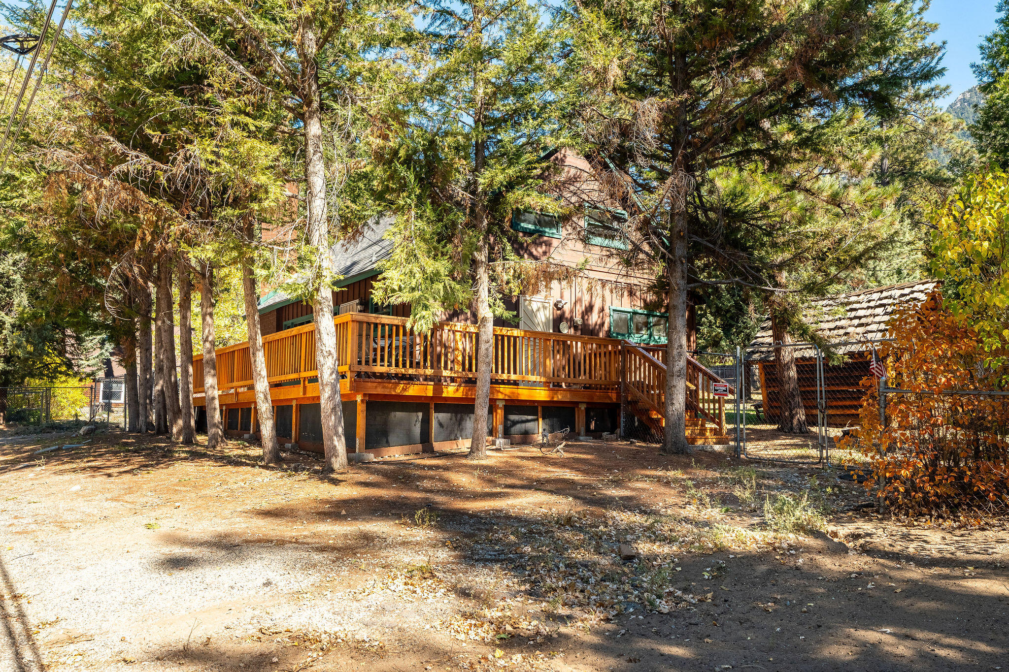 25290 Lodge Road Idyllwild, CA 92549 - Photo 36 of 46 a row of trees and outdoor space