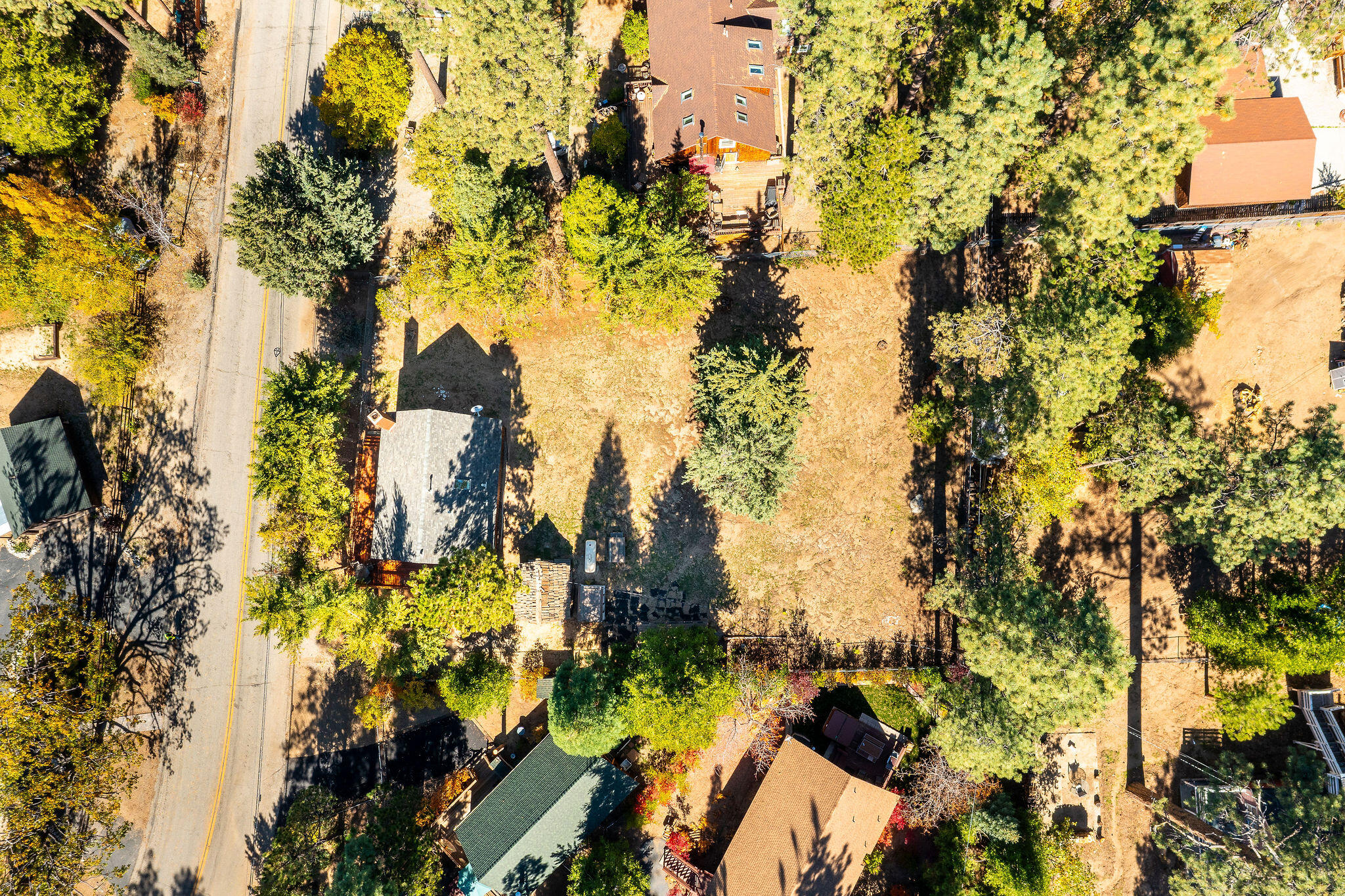 25290 Lodge Road Idyllwild, CA 92549 - Photo 40 of 46 a view of a tree in a backyard of a building