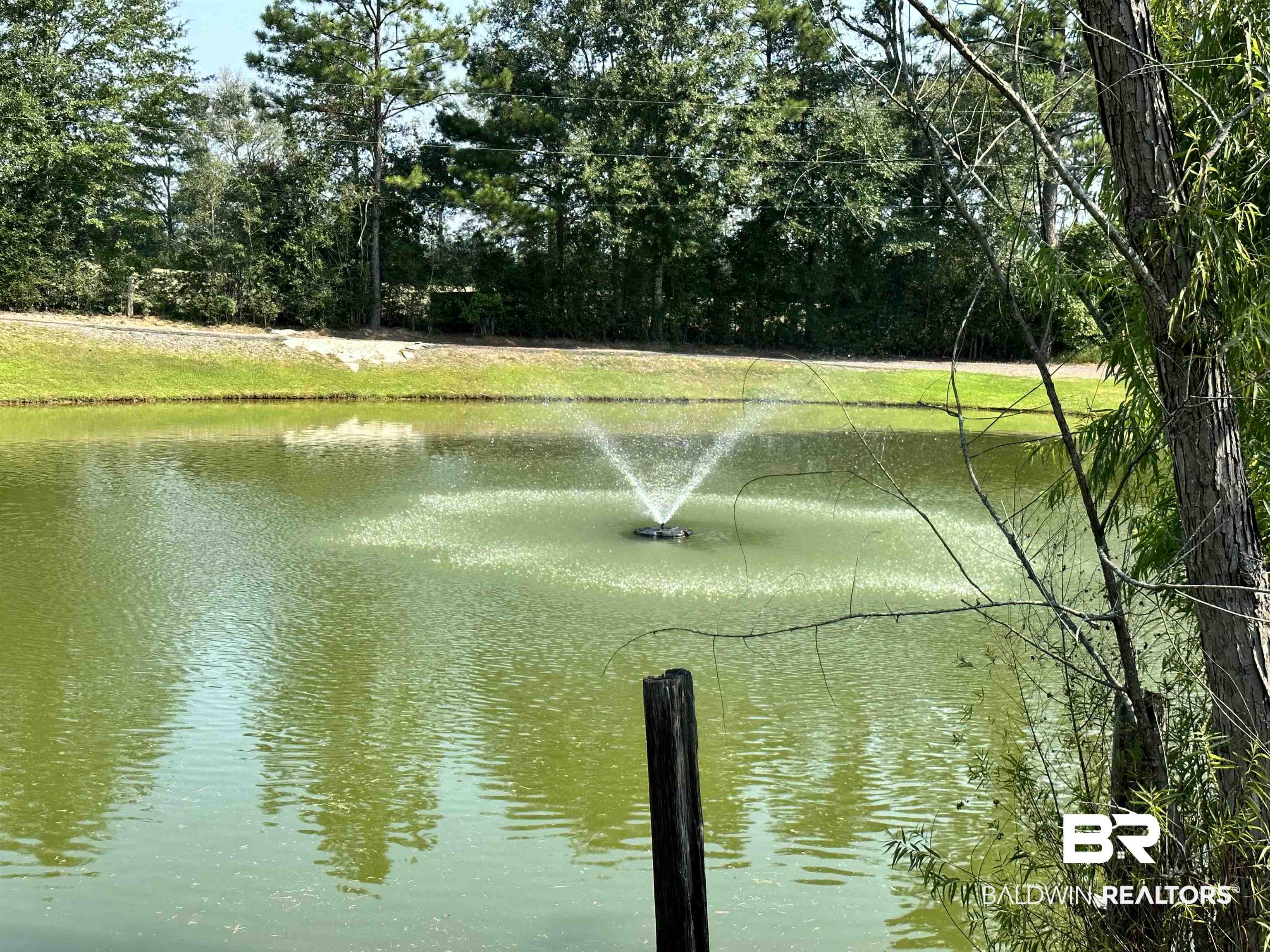 12940 A Mason Ferry Road Wilmer, AL 36587 - Photo 31 of 50