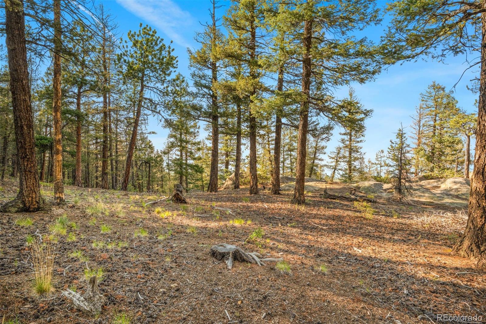 9831 South Warhawk Road Conifer, CO 80433 - Photo 40 of 41 Gallery Image 40