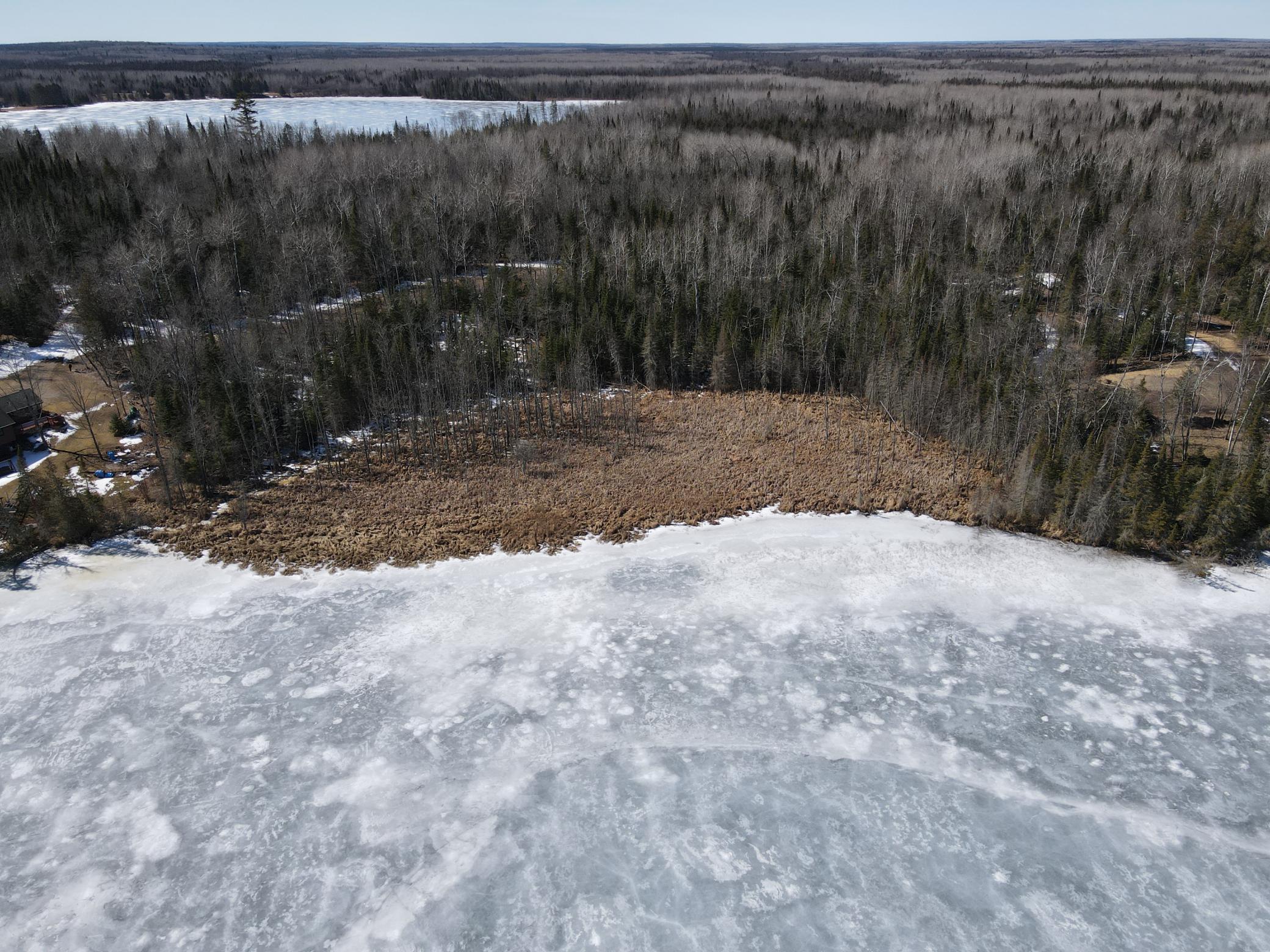 Tbd West North Star Lake Road Marcell, MN 56657 - Photo 12 of 14