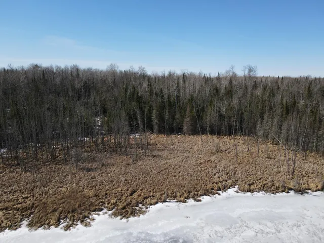 $129,000 | Tbd West North Star Lake Road, Marcell, MN 56657