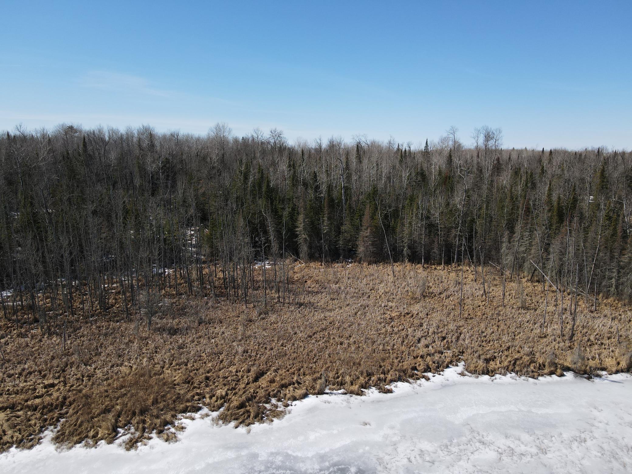 Tbd West North Star Lake Road Marcell, MN 56657 - Photo 13 of 14