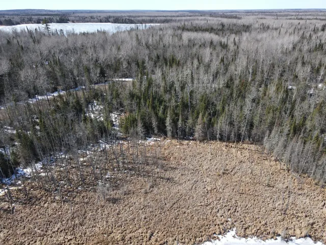 $129,000 | Tbd West North Star Lake Road, Marcell, MN 56657