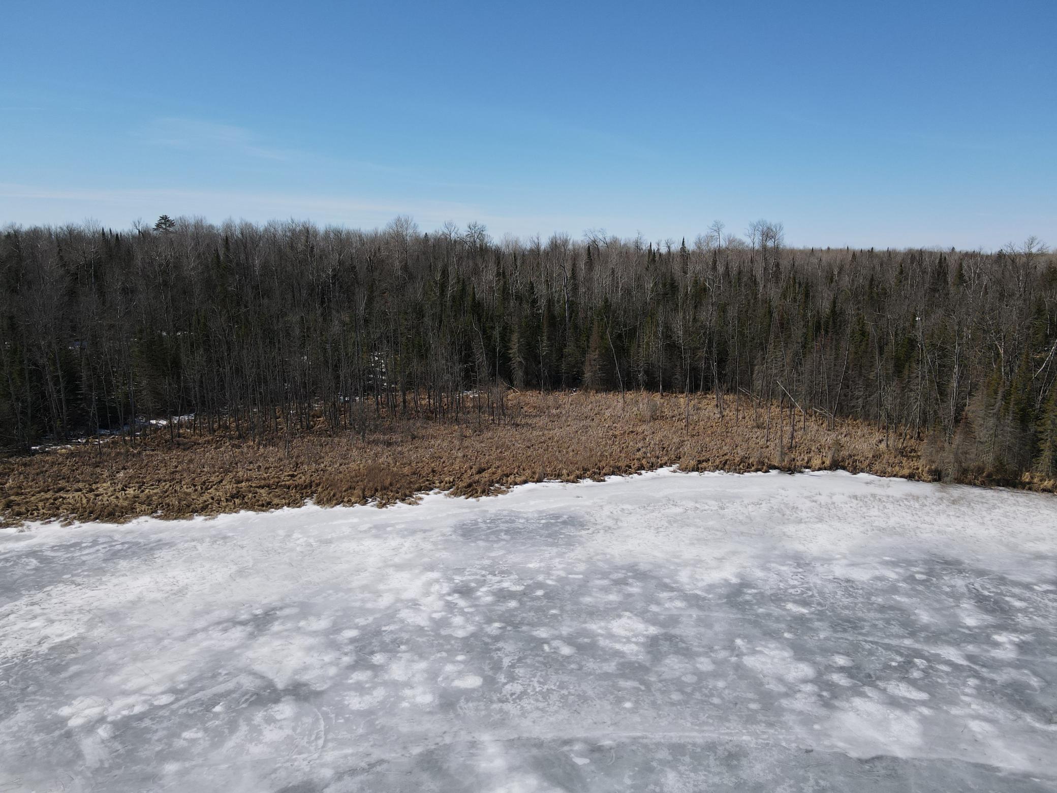 Tbd West North Star Lake Road Marcell, MN 56657 - Photo 3 of 14