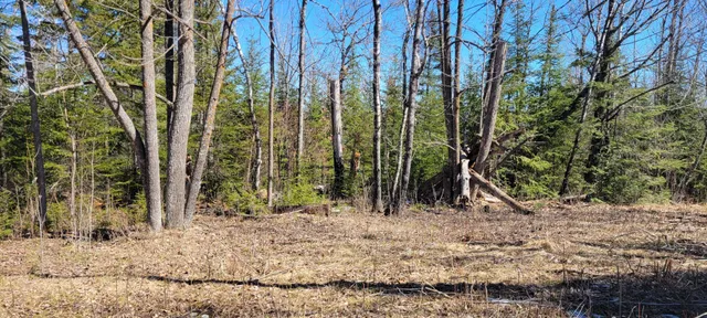 $129,000 | Tbd West North Star Lake Road, Marcell, MN 56657