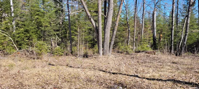$129,000 | Tbd West North Star Lake Road, Marcell, MN 56657