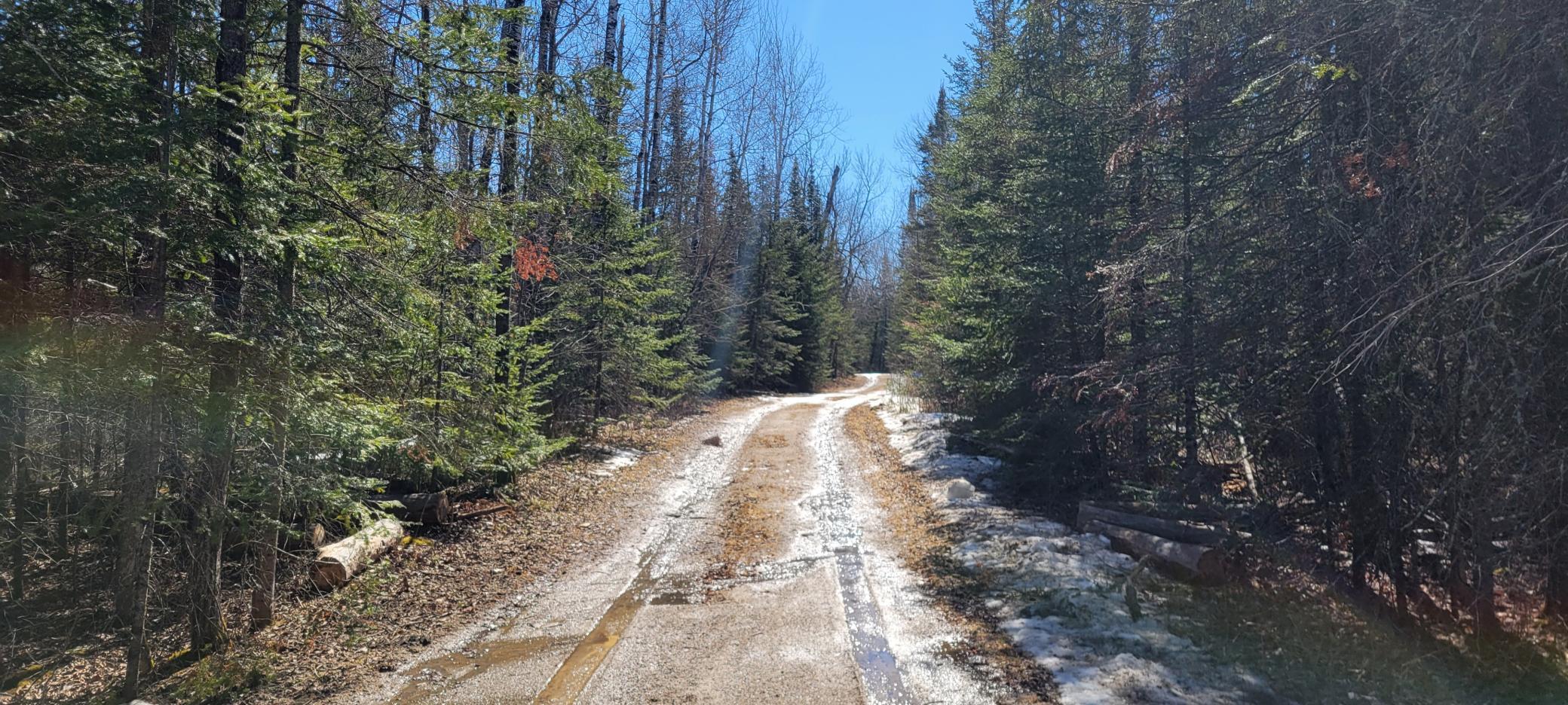 Tbd West North Star Lake Road Marcell, MN 56657 - Photo 6 of 14