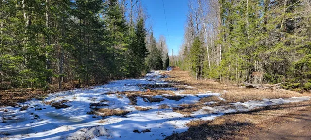 $129,000 | Tbd West North Star Lake Road, Marcell, MN 56657