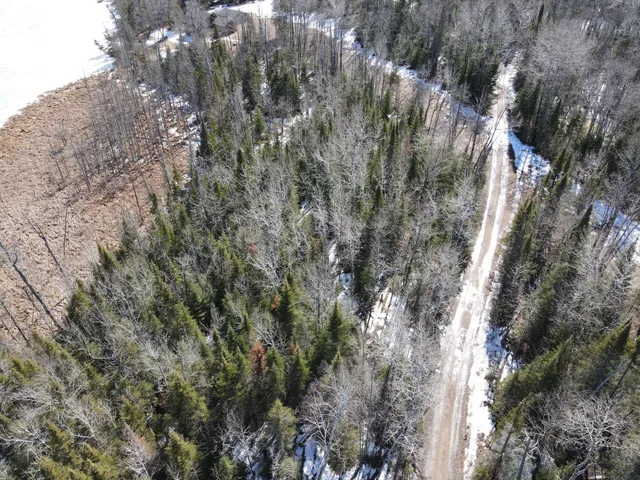 $129,000 | Tbd West North Star Lake Road, Marcell, MN 56657