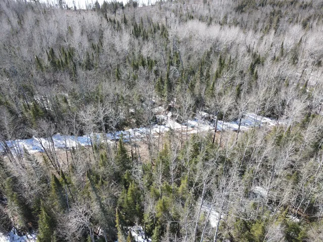 $129,000 | Tbd West North Star Lake Road, Marcell, MN 56657