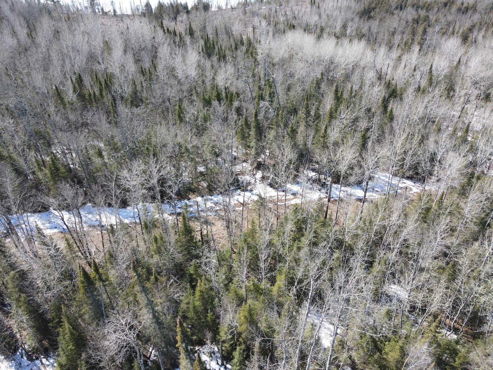 Tbd West North Star Lake Road Marcell, MN 56657 - Photo 9 of 14