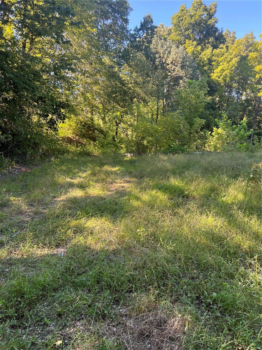2560 Sutterville Road Fults, IL 62244 - Photo 6 of 8