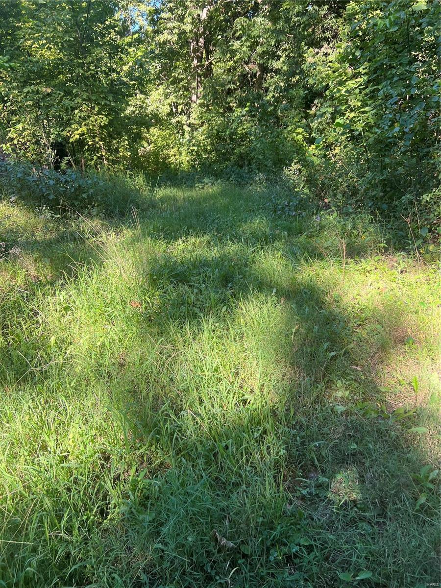 2560 Sutterville Road Fults, IL 62244 - Photo 8 of 8