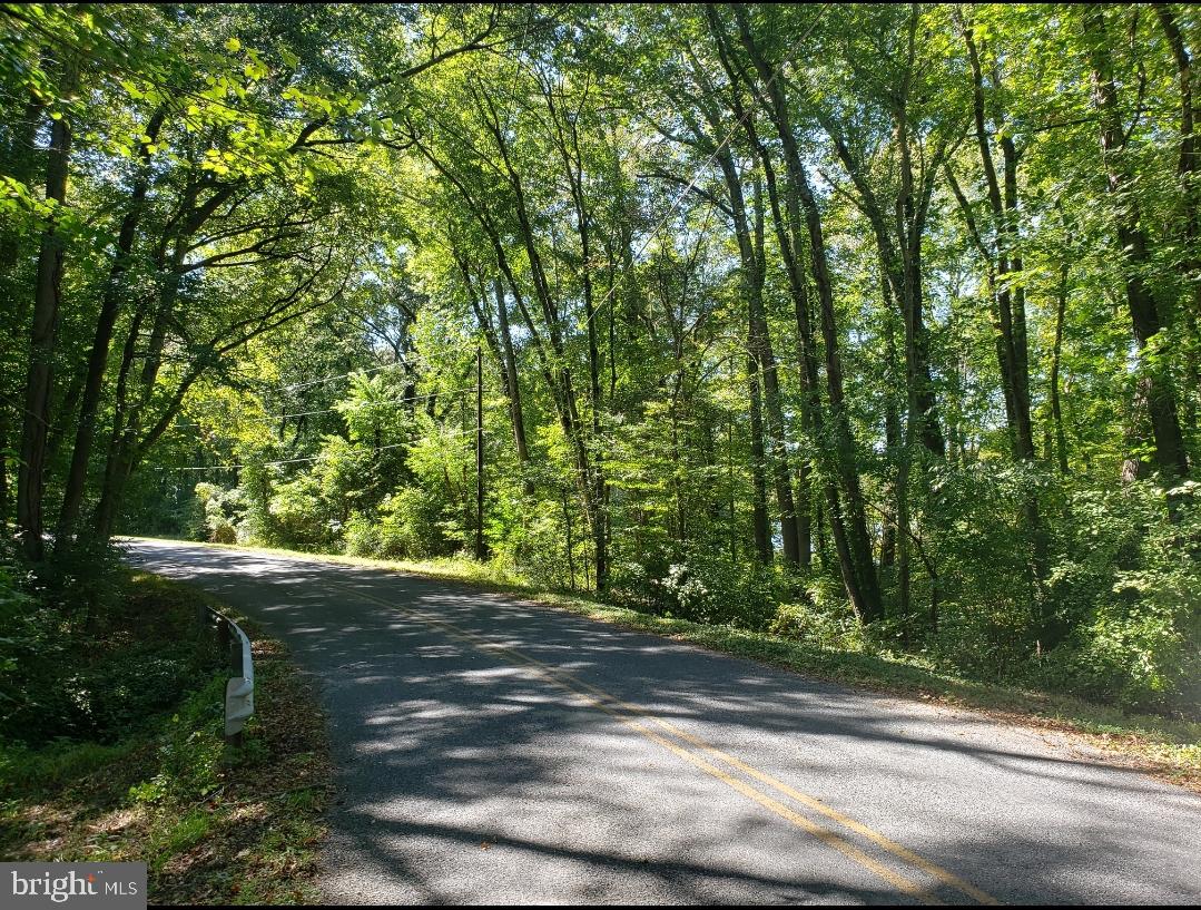 0 Woodstown Road Woodstown, NJ 08098 - Photo 3 of 5