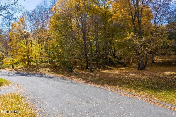 a view of a yard with trees