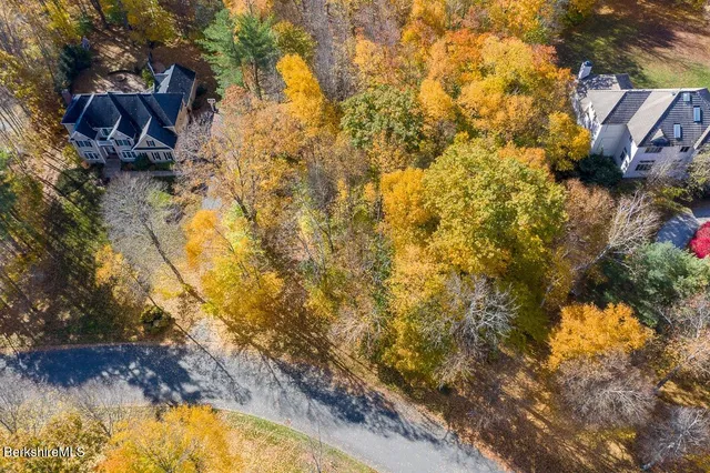 a yard with tall trees