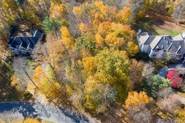 a view of a tree with a yard