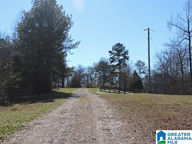 Meadowlane Drive Wedowee, AL 36278 - Photo 5 of 5