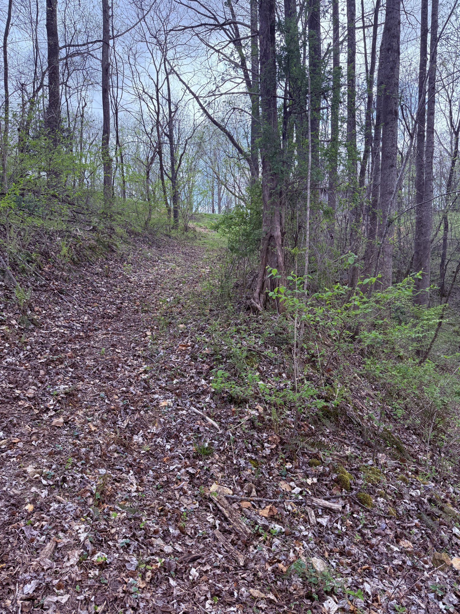 935 Sugar Tree Knob Road Liberty, TN 37095 - Photo 35 of 63 Gallery Image 35