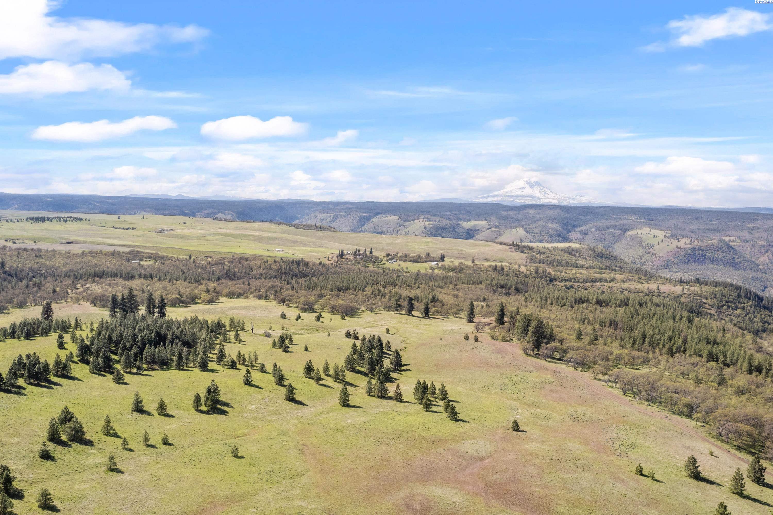 Lot 19 Schilling Road Lyle, WA 98635 - Photo 28 of 39 Gallery Image 28