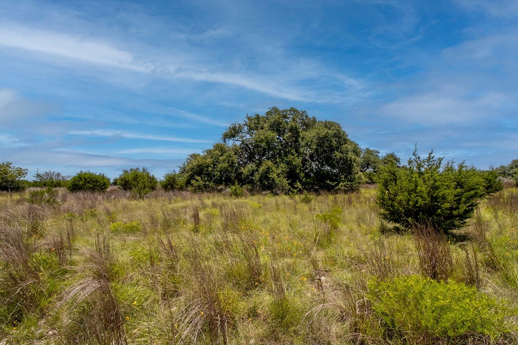 0 Quail Run Road Mountain Home, TX 78058 - Photo 8 of 8
