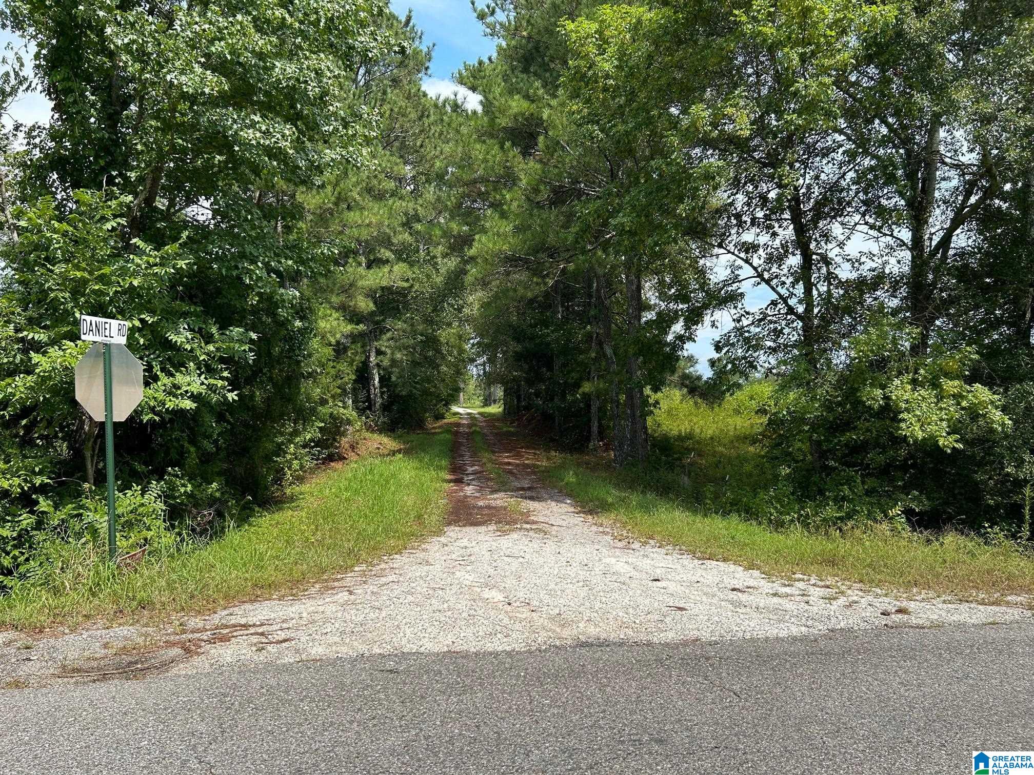 0 Alabama Highway Ohatchee, AL 36271 - Photo 3 of 10