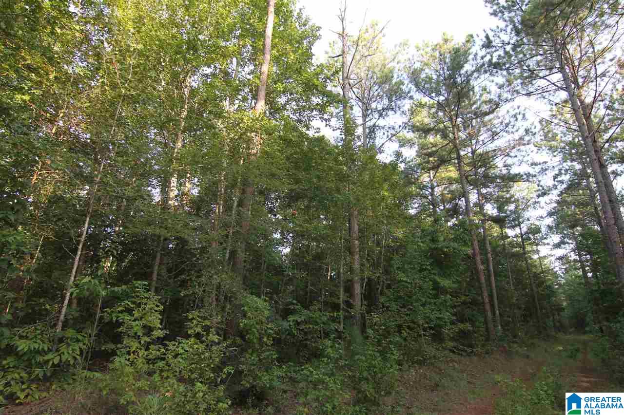 632 County Road, Unit 21 Roanoke, AL 36274 - Photo 5 of 7