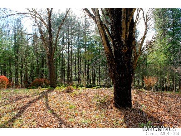 722 Old Fort Road Fairview, NC 28730 - Photo 17 of 20 Gallery Image 17