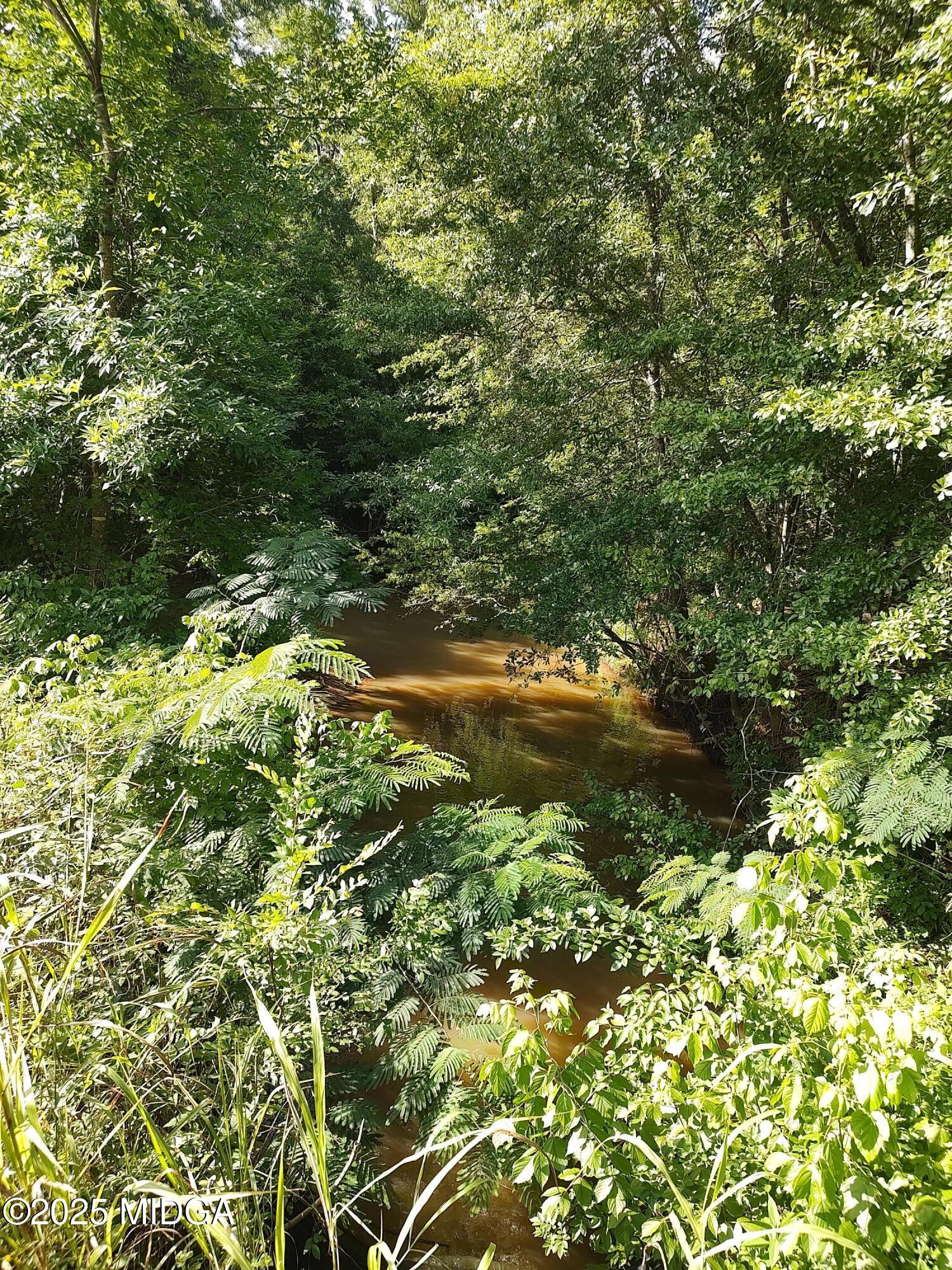 377 Hillsboro Lake Road Hillsboro, GA 31038 - Photo 2 of 6 a view of a lake with a tree