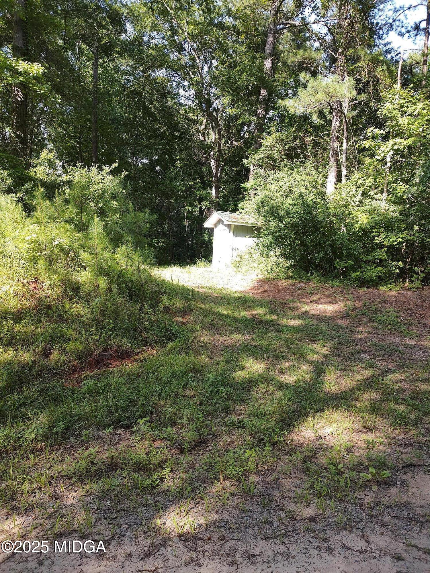 377 Hillsboro Lake Road Hillsboro, GA 31038 - Photo 3 of 6 a view of a yard with plants and large trees
