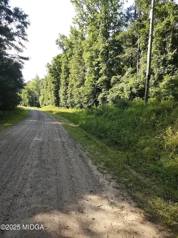a view of a yard with a tree