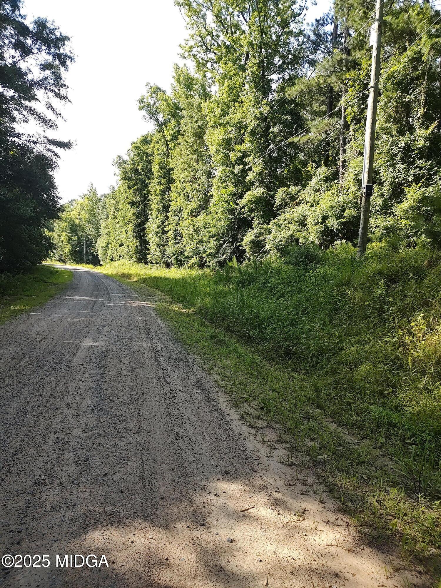 377 Hillsboro Lake Road Hillsboro, GA 31038 - Photo 4 of 6 a view of a yard with a tree
