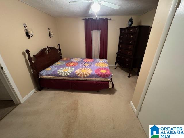 283 Old Birmingham Road Sumiton, AL 35148 - Photo 8 of 16