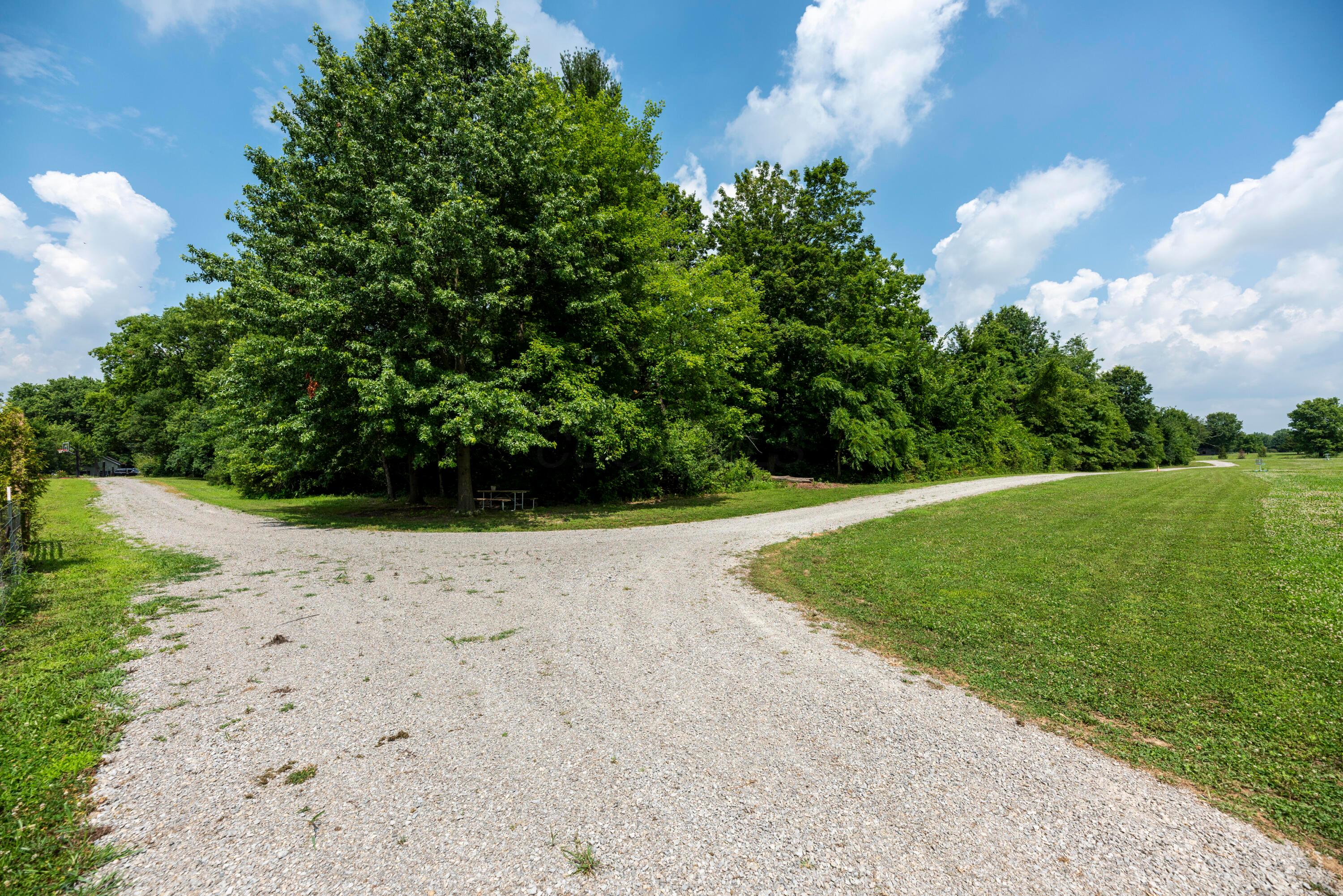 4474 Larue-Prospect Road South Prospect, OH 43342 - Photo 105 of 116 MNT_8977