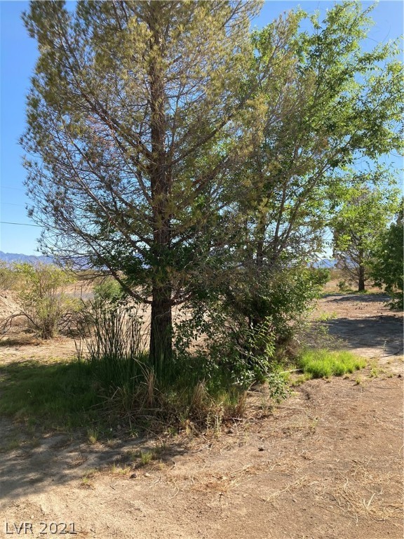 160 Ranch Street Pahrump, NV 89060 - Photo 1 of 5 Gallery Image 1