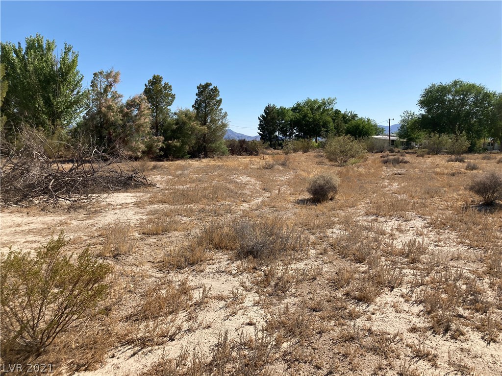160 Ranch Street Pahrump, NV 89060 - Photo 2 of 5 Gallery Image 2