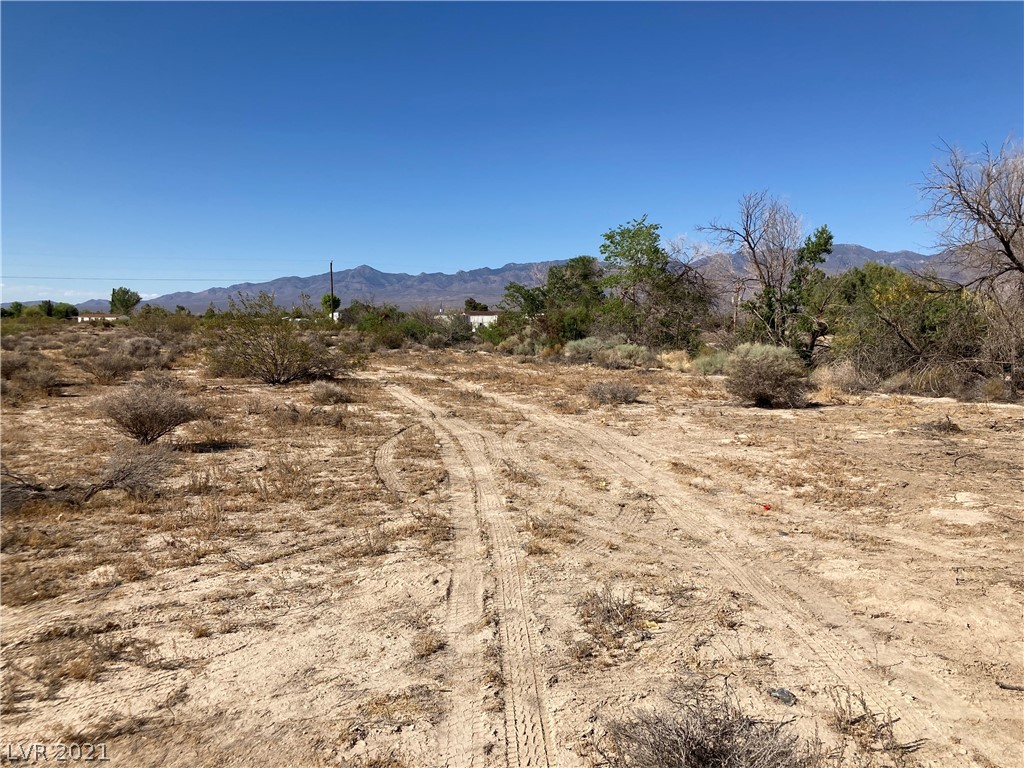 160 Ranch Street Pahrump, NV 89060 - Photo 4 of 5 Gallery Image 4