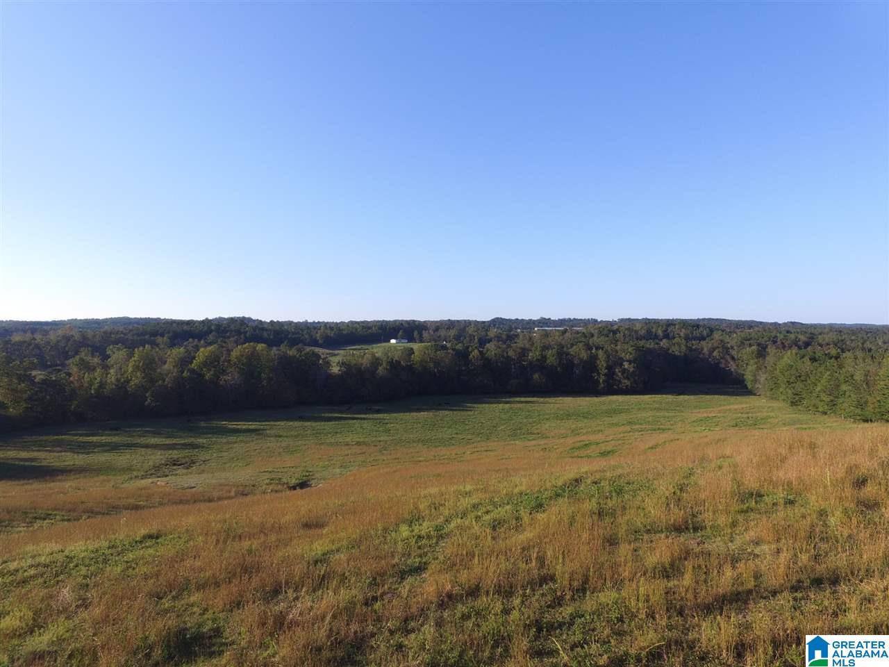 936 Daileys Chapel Road Oneonta, AL 35121 - Photo 29 of 36