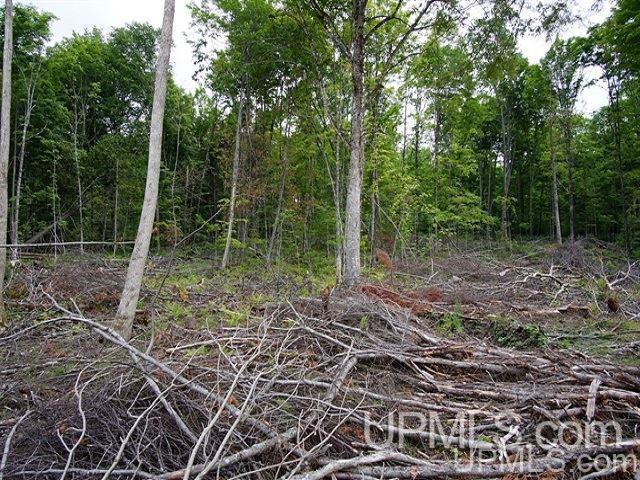 40-acres Co Rd 467 Germfask, MI 49836 - Photo 15 of 22