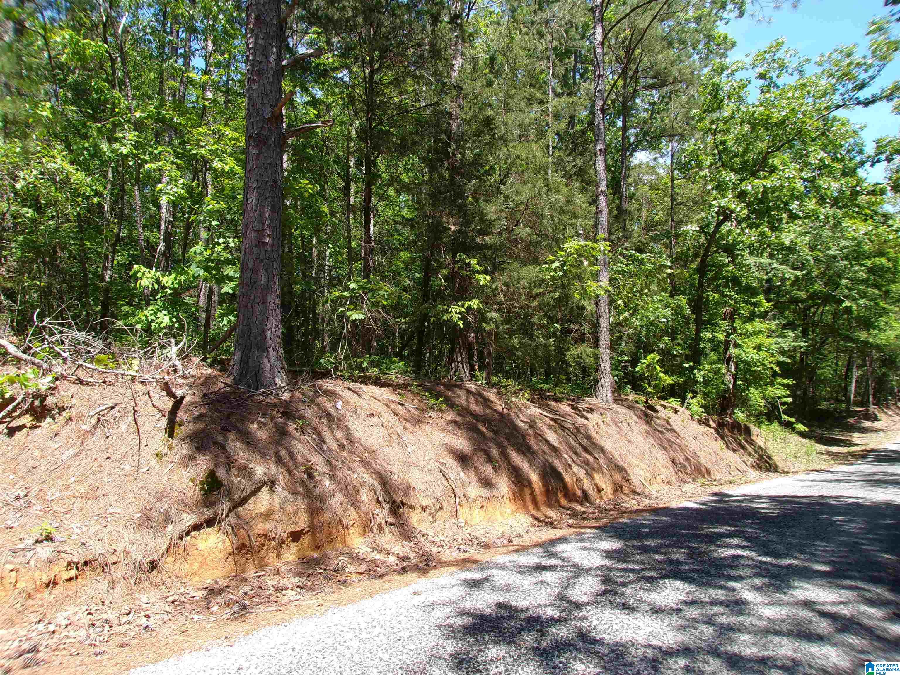 1 St Mary Road South, Unit 1 Lincoln, AL 35096 - Photo 3 of 23