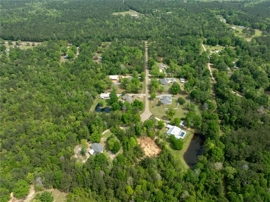 0 Lost Hills Road Bush, LA 70431 - Photo 5 of 14 Gallery Image 5