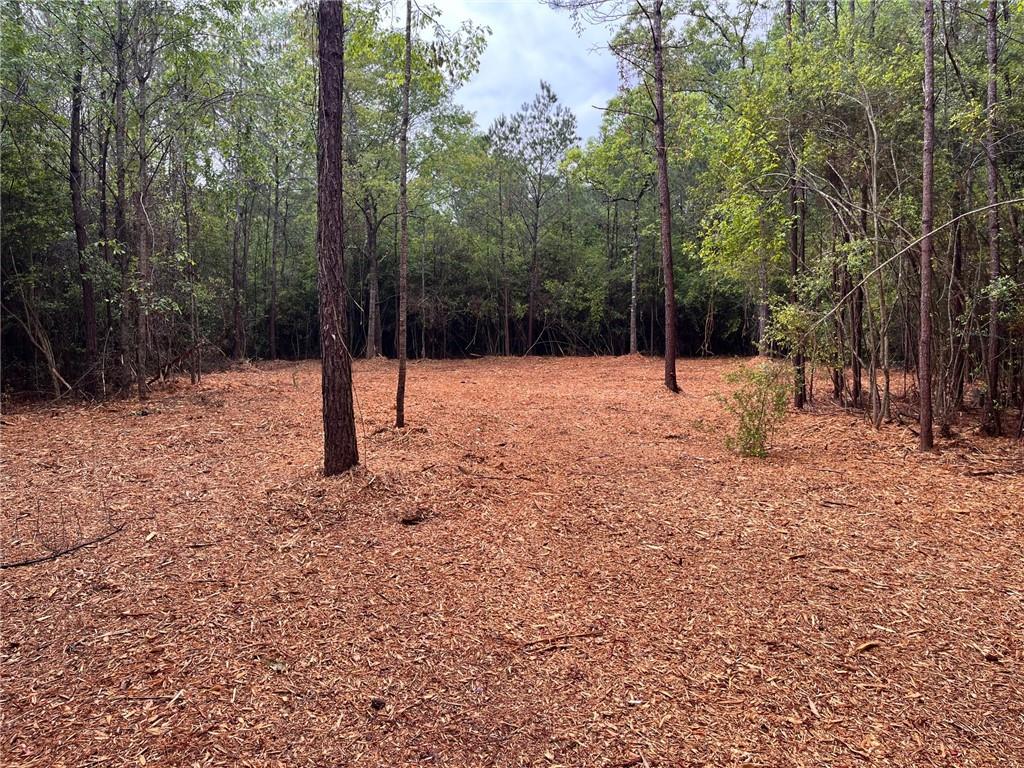 0 Lost Hills Road Bush, LA 70431 - Photo 6 of 14 Gallery Image 6