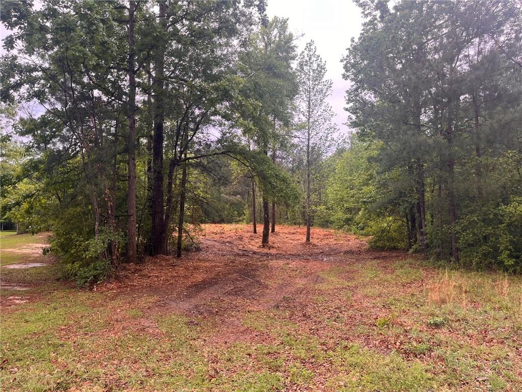0 Lost Hills Road Bush, LA 70431 - Photo 7 of 14 Gallery Image 7