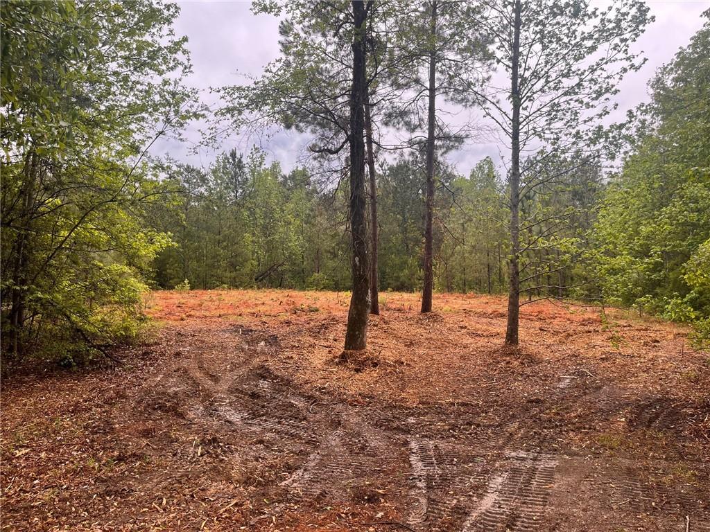 0 Lost Hills Road Bush, LA 70431 - Photo 8 of 14 Gallery Image 8