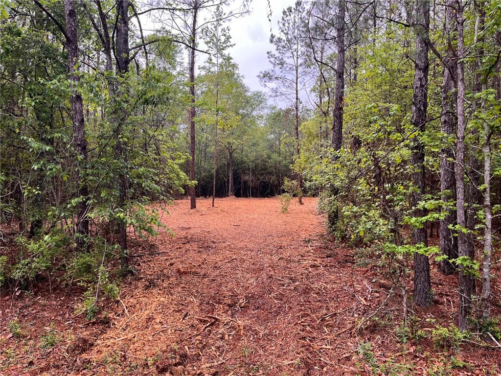 0 Lost Hills Road Bush, LA 70431 - Photo 9 of 14 Gallery Image 9
