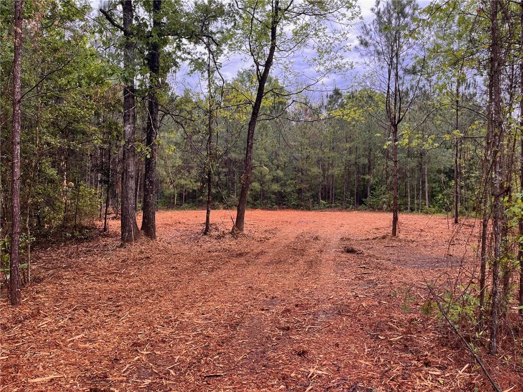 0 Lost Hills Road Bush, LA 70431 - Photo 10 of 14 Gallery Image 10