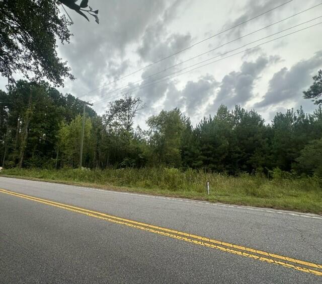 3337 Steed Creek Road Huger, SC 29450 - Photo 3 of 8 Steed Creek 2