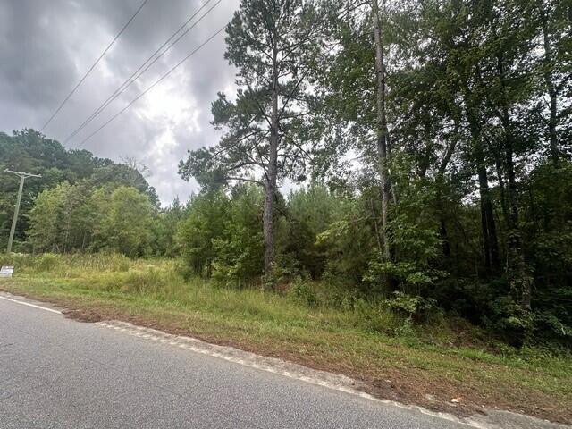 3337 Steed Creek Road Huger, SC 29450 - Photo 4 of 8 Steed Creek 4